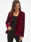 Velvet Blazer